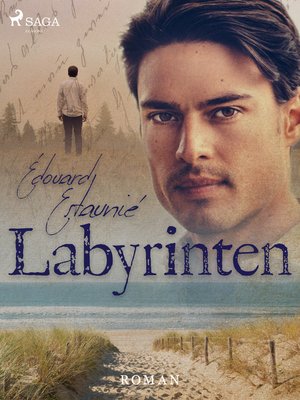 cover image of Labyrinten